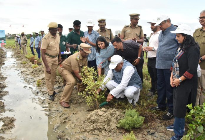 Union Minister Bhupender Yadav Leads Mangrove Plantation Drive in Tamil Nadu's Chengalpattu District