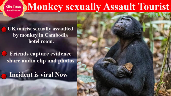 Monkey sexually Assault