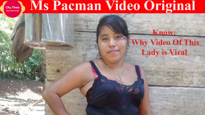 Ms Pacman Video Original